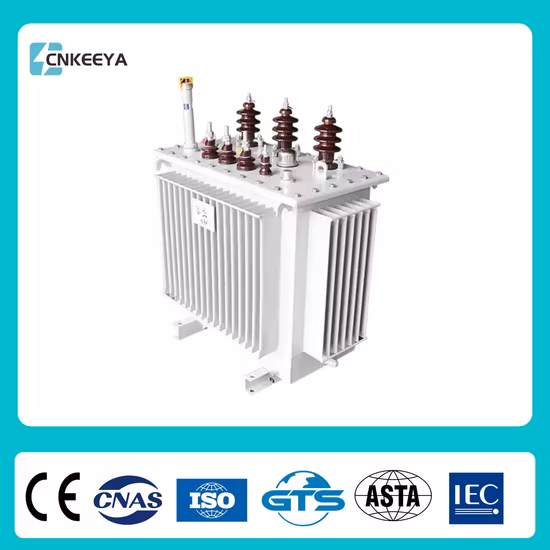 Cnkeeya S11 Serie 10kV Distribuzione di potenza Tre